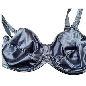 Elegant Underwire Bra in Shimmering Blue 40C